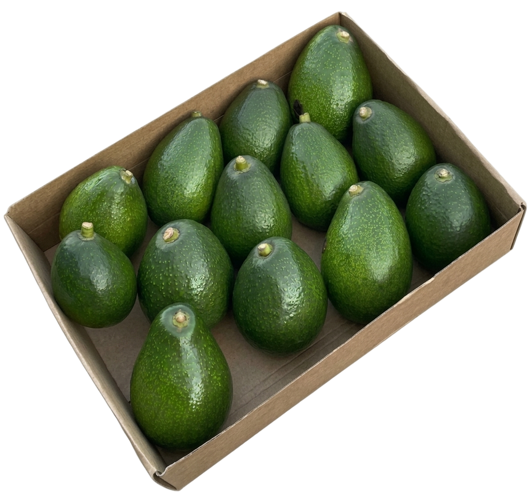 AGUACATES